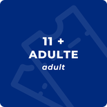 Drive-in ticket - GENERAL - 11 years old +