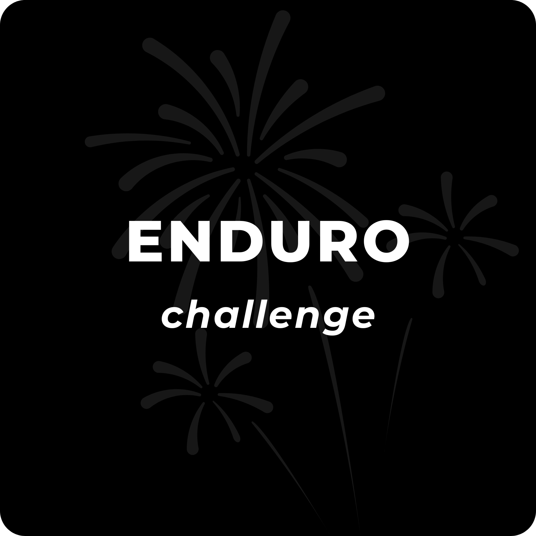 Enduro Challenge 2024