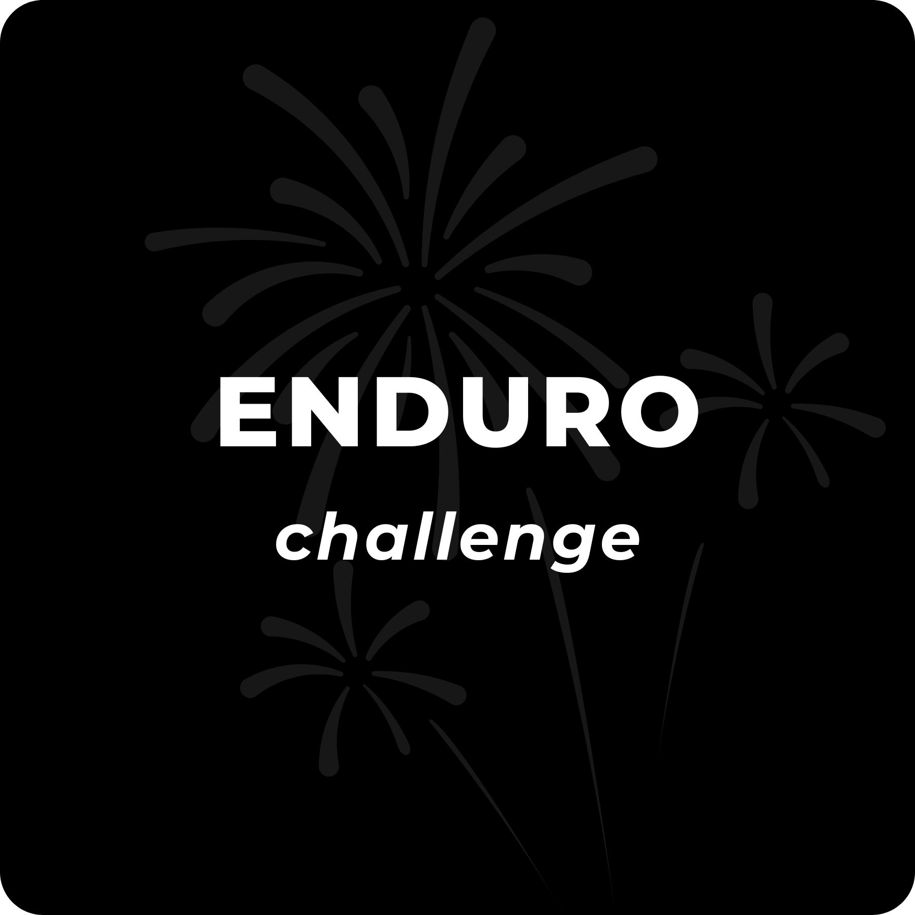 Enduro Challenge 2025