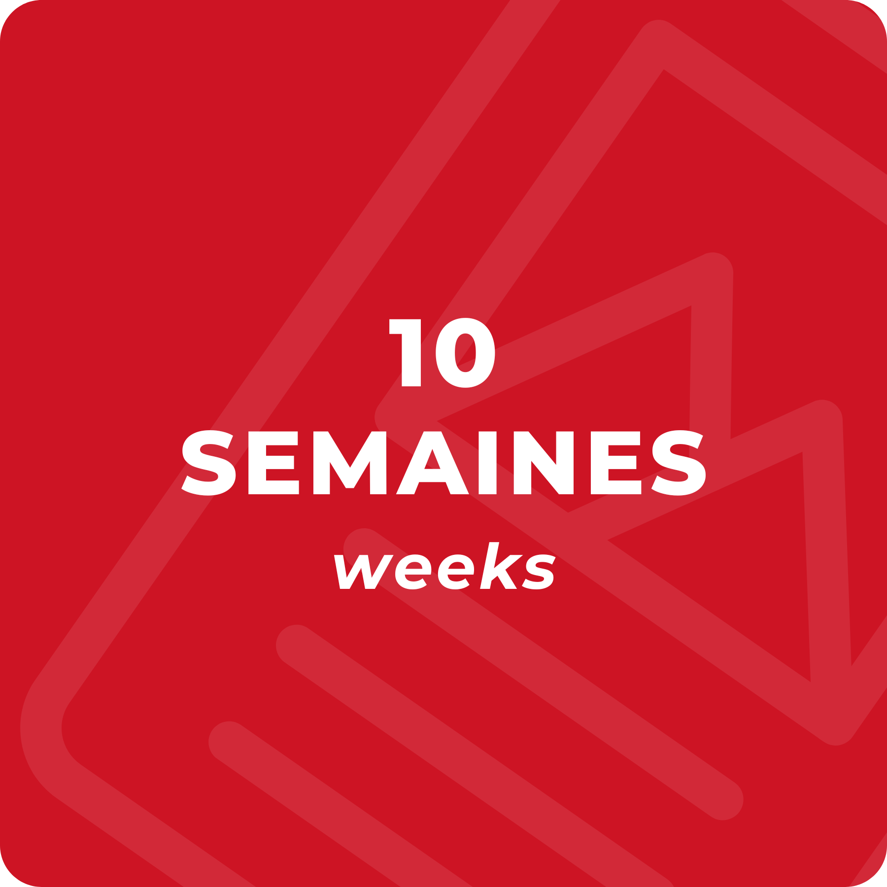 10 weeks (with lessons only)
